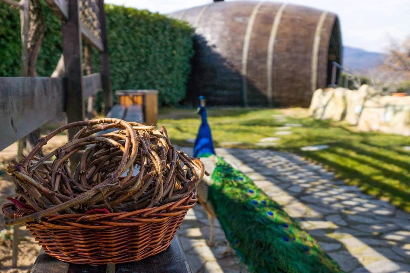 Wine & Spa Complex Starosel Buitenkant foto